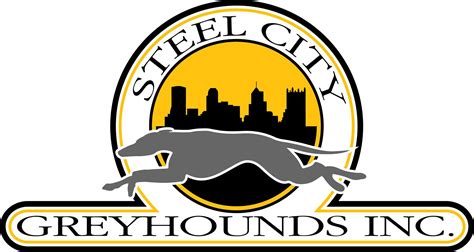 steel city boxing greyhound|Steel City Greyhounds in Pittsburgh, PA 15208 .